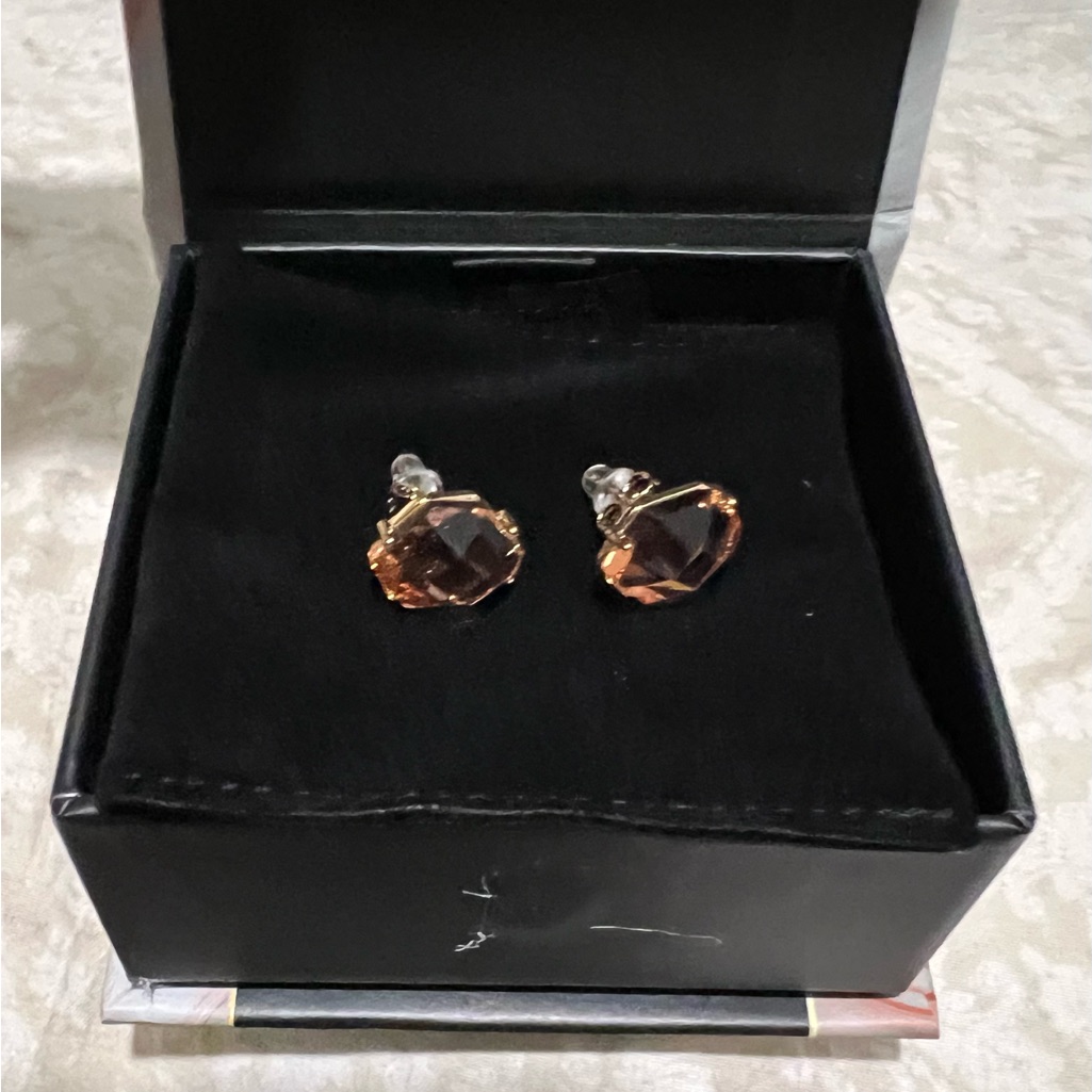 Earrings Vanessa Williams Brand Jewelry Box
